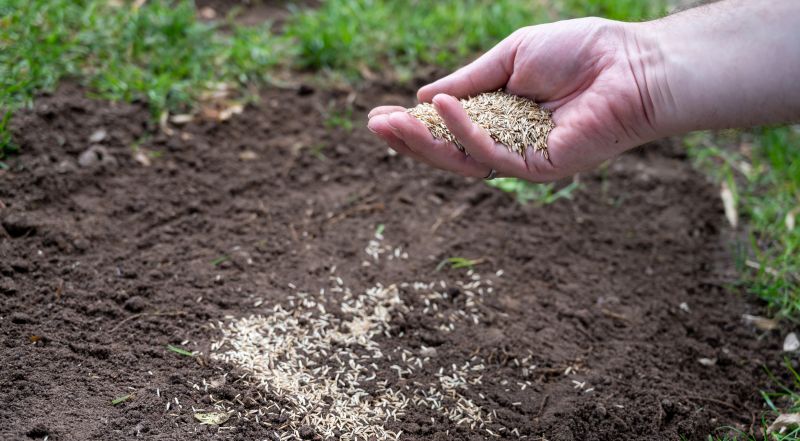 Reseeding Service in Honolulu, HI