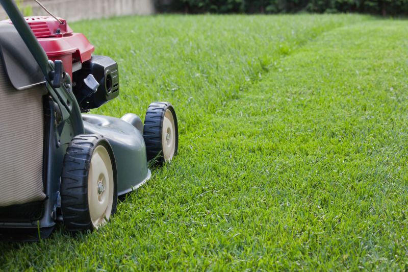 Residential Yard Mowing in Bowie, MD