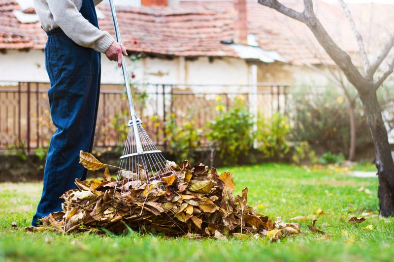 Seasonal Lawn Maintenance in Honolulu, HI