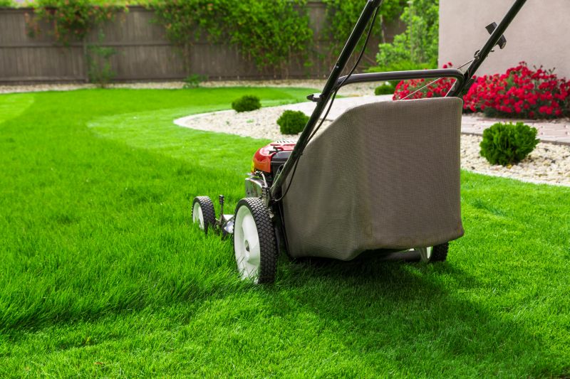 Spring Lawn Care in Bowie, MD
