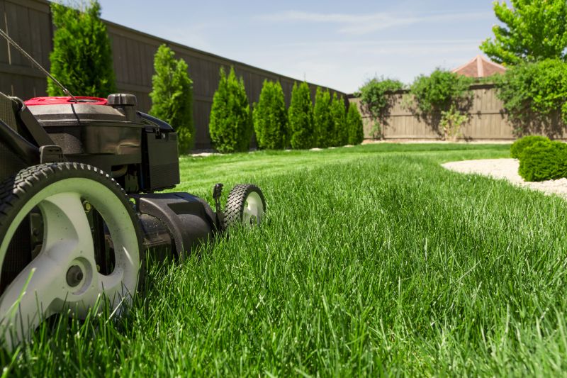 Spring Lawn Care in Bowie, MD