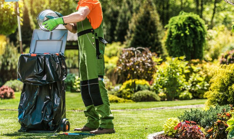 Spring Lawn Cleanup in Honolulu, HI