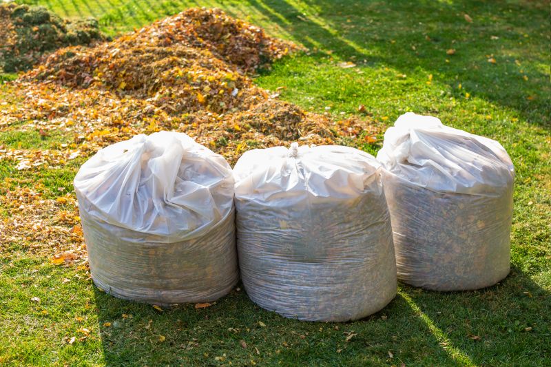 Spring Lawn Cleanup in Honolulu, HI