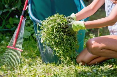 Spring Yard Cleanup in Honolulu, HI