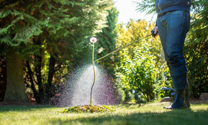 Thistle Control in Ventura County, CA