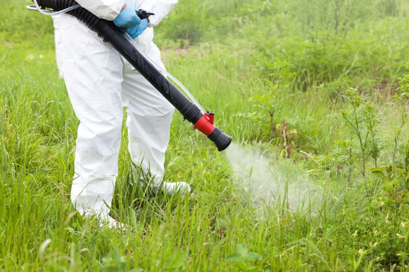 Thistle Treatment in Ventura County, CA