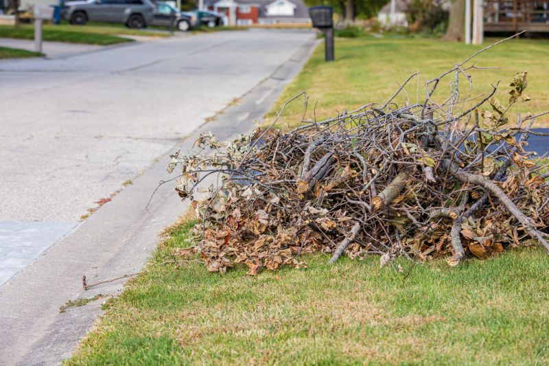 Tree Branch Disposal in Honolulu, HI