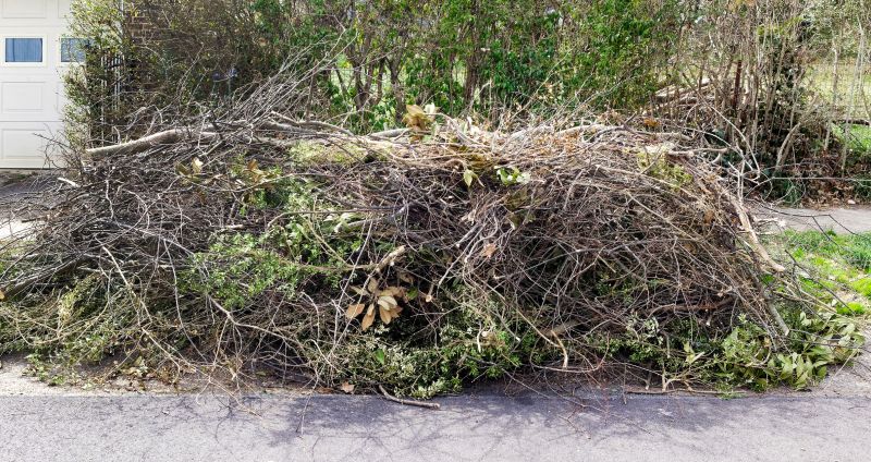 Tree Limb Cleanup in Honolulu, HI