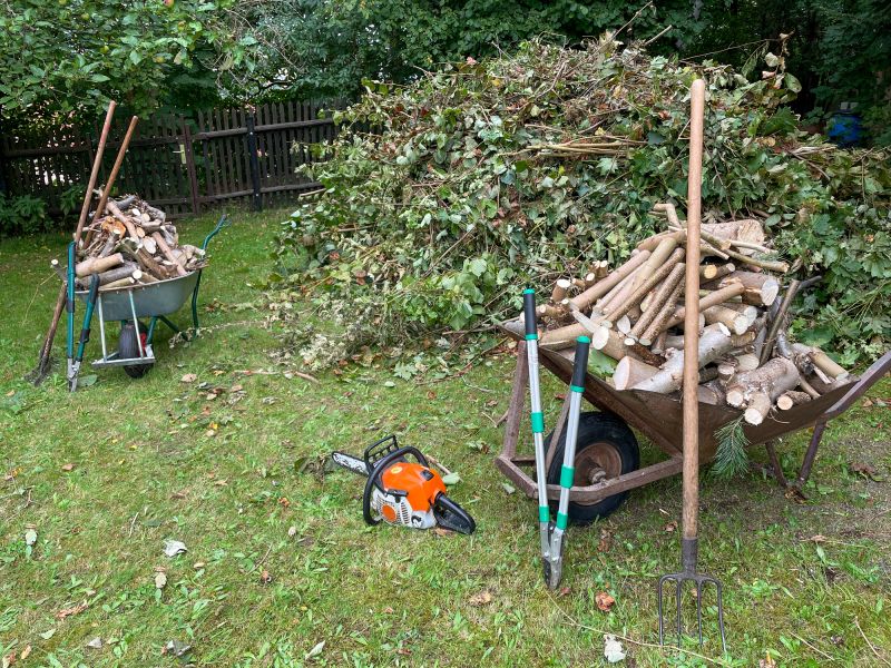 Tree Limb Cleanup in Honolulu, HI
