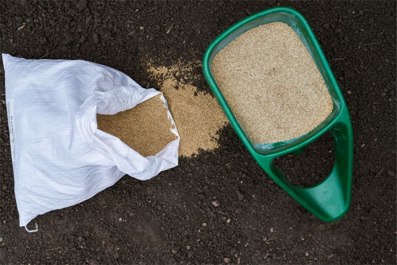 Turf Seeding in Honolulu, HI