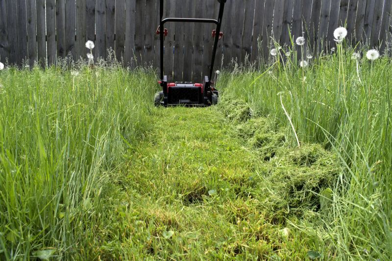Vacant Lot Mowing in Duluth, MN