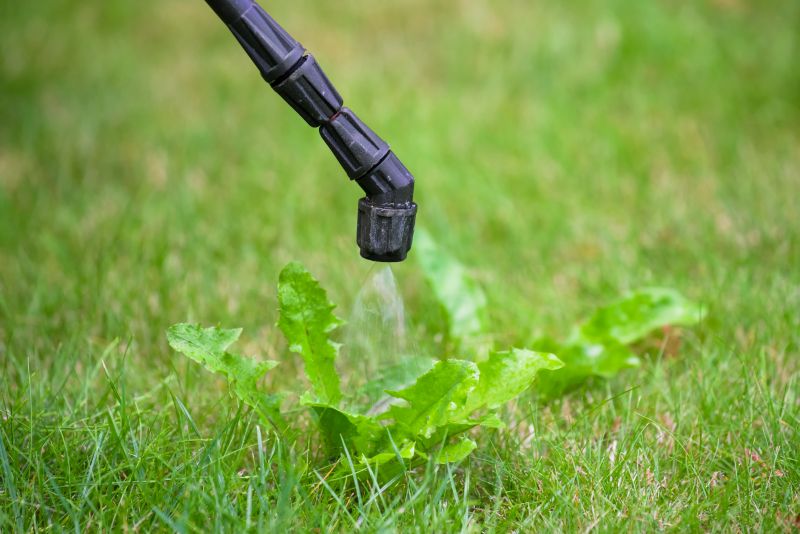 Weed Spraying in Aiken, SC