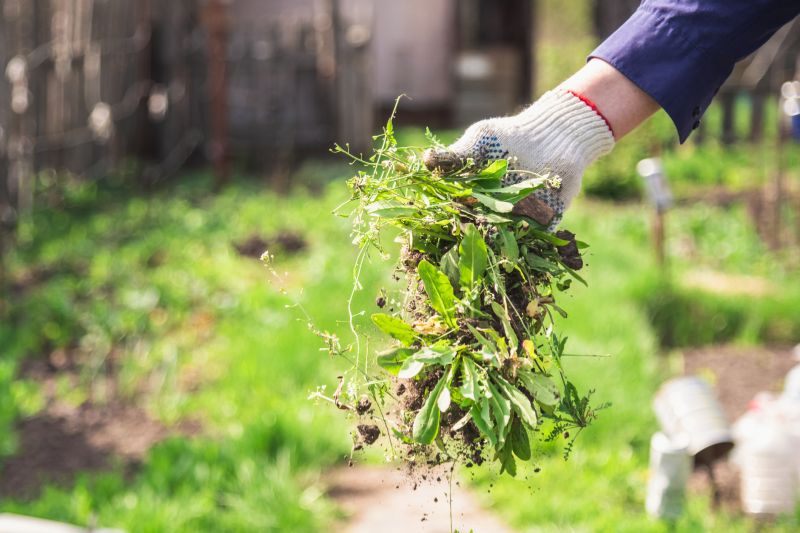 Weeding Service in Ventura County, CA