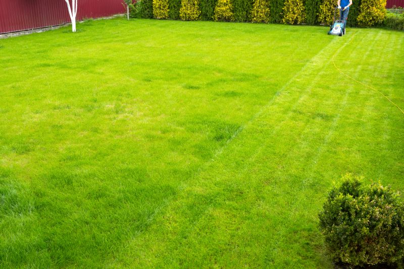 Weekly Lawn Care in Bowie, MD