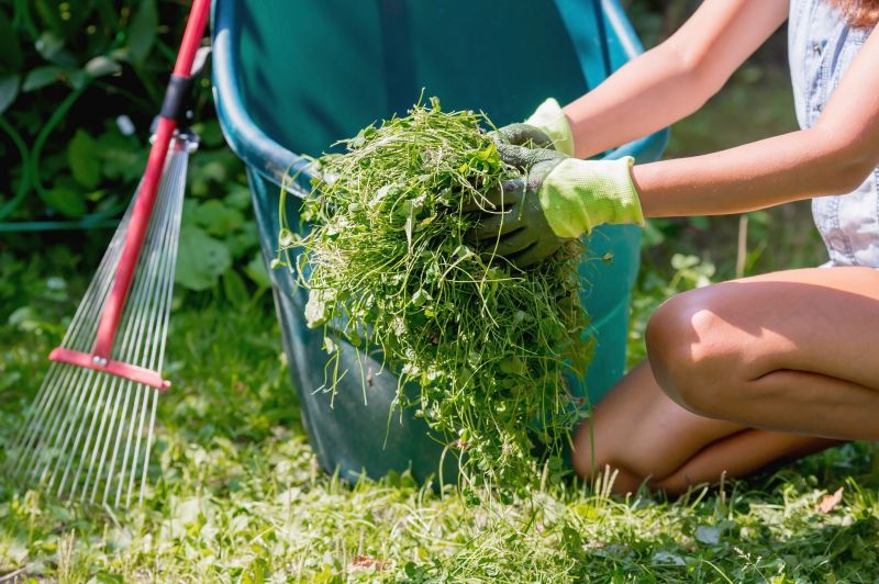Yard Cleanup Service in Ventura County, CA